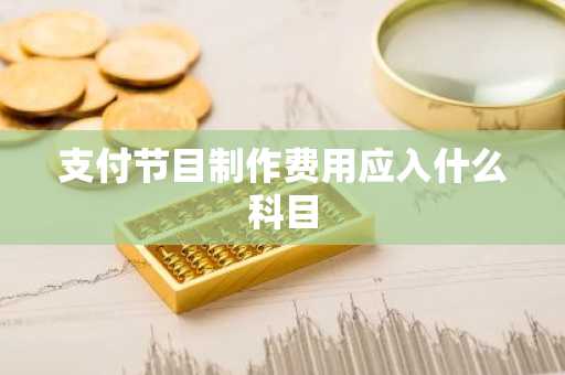 支付节目制作费用应入什么科目