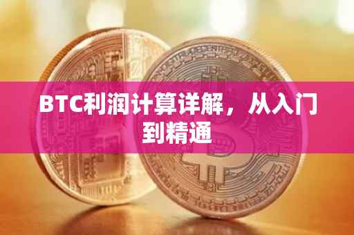 BTC利润计算详解，从入门到精通