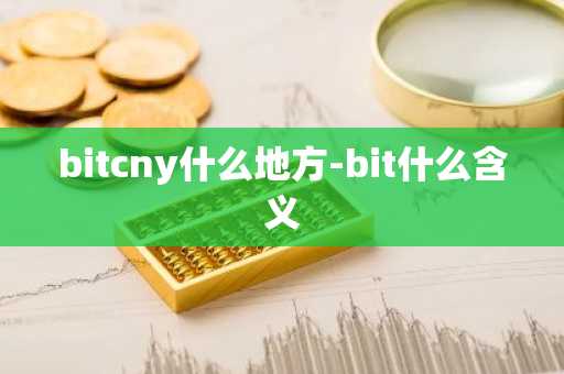 bitcny什么地方-bit什么含义