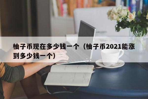 柚子币现在多少钱一个（柚子币2021能涨到多少钱一个）