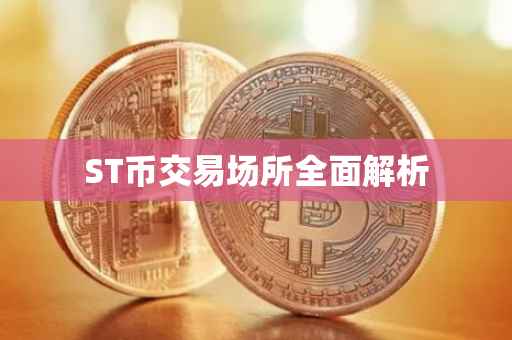ST币交易场所全面解析