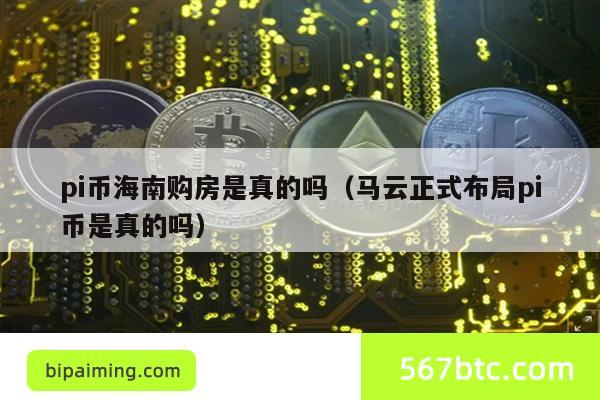 pi币海南购房是真的吗（马云正式布局pi币是真的吗）