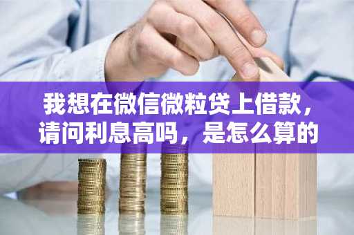 我想在微信微粒贷上借款，请问利息高吗，是怎么算的？