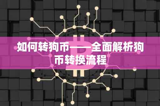如何转狗币——全面解析狗币转换流程