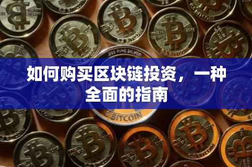 如何购买区块链投资，一种全面的指南