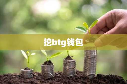 挖btg钱包