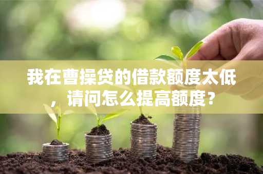 我在曹操贷的借款额度太低，请问怎么提高额度？