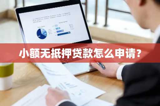 小额无抵押贷款怎么申请？