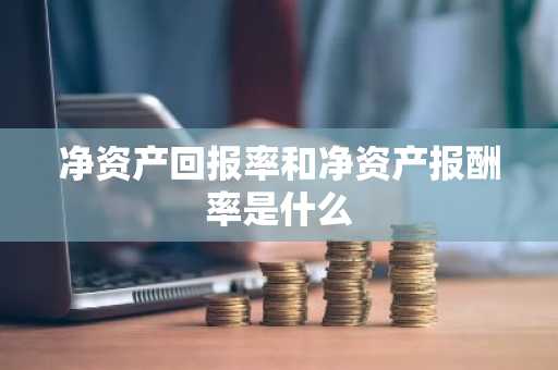 净资产回报率和净资产报酬率是什么
