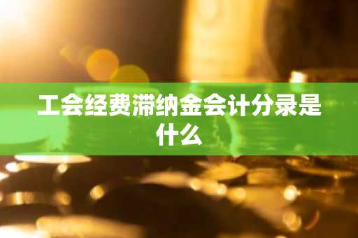 工会经费滞纳金会计分录是什么