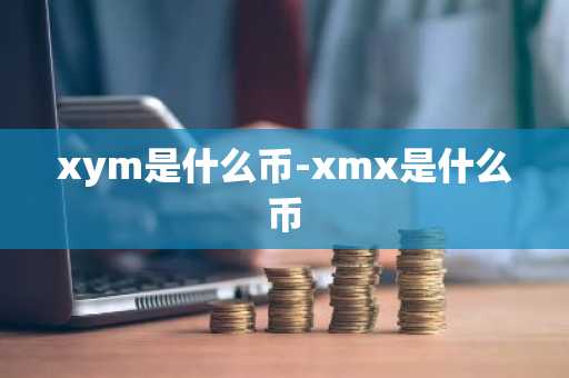 xym是什么币-xmx是什么币
