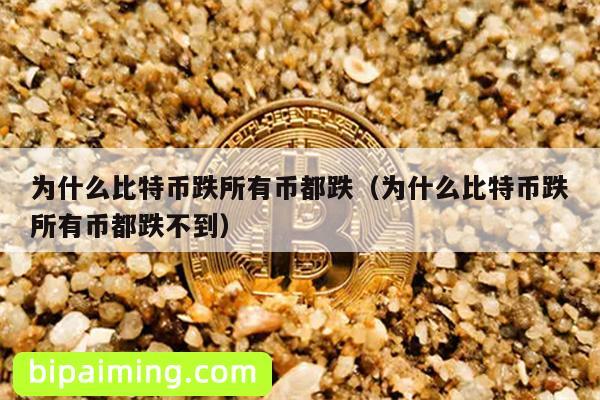 为什么比特币跌所有币都跌（为什么比特币跌所有币都跌不到）