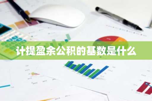 计提盈余公积的基数是什么