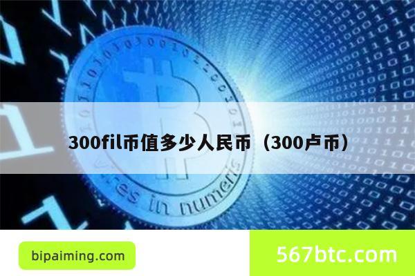300fil币值多少人民币（300卢币）