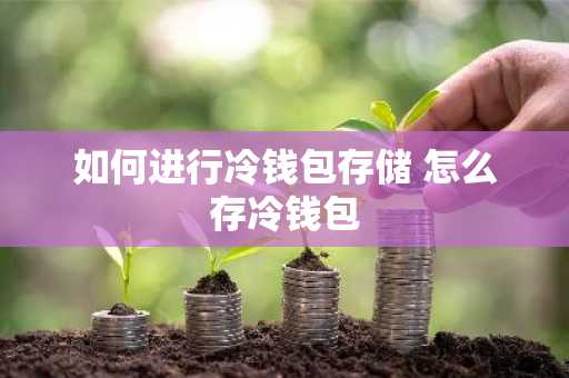 如何进行冷钱包存储 怎么存冷钱包