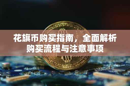 花旗币购买指南，全面解析购买流程与注意事项