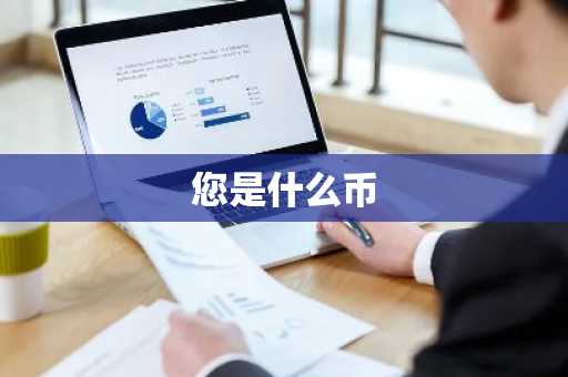 您是什么币