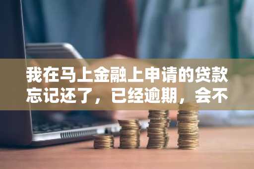 我在马上金融上申请的贷款忘记还了，已经逾期，会不会上征信？