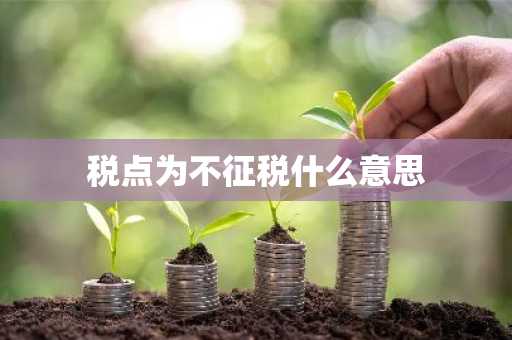 税点为不征税什么意思