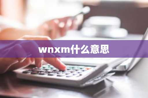 wnxm什么意思
