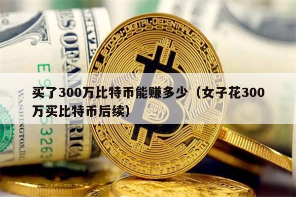 买了300万比特币能赚多少（女子花300万买比特币后续）