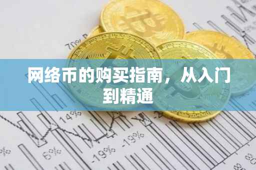 网络币的购买指南，从入门到精通