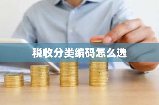 税收分类编码怎么选