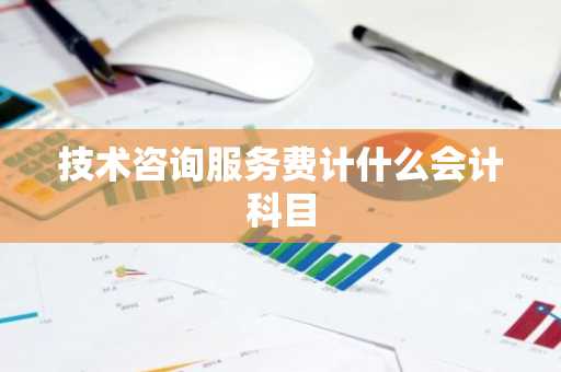 技术咨询服务费计什么会计科目