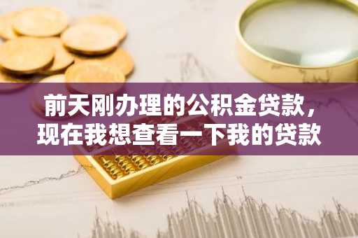 前天刚办理的公积金贷款，现在我想查看一下我的贷款信息，要怎么查啊？