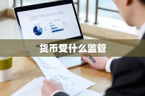 货币受什么监管