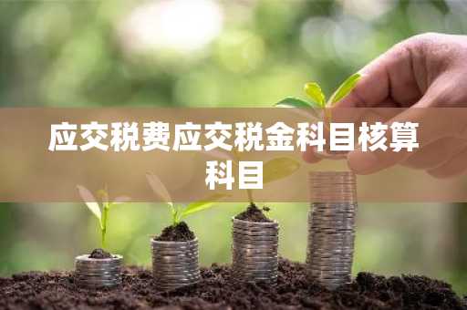 应交税费应交税金科目核算科目