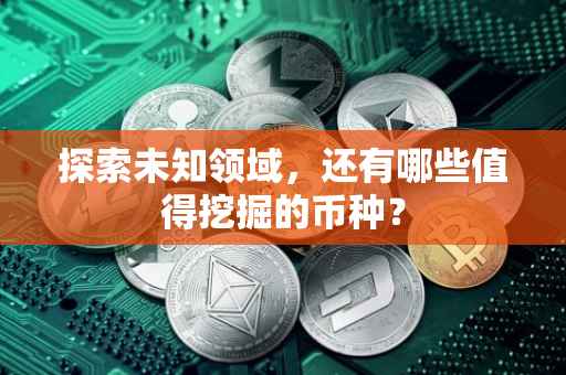 探索未知领域，还有哪些值得挖掘的币种？