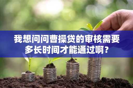 我想问问曹操贷的审核需要多长时间才能通过啊？