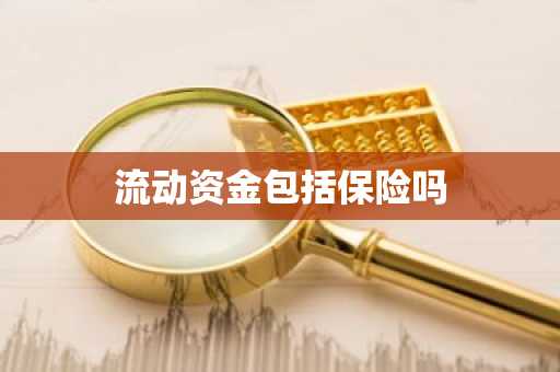 流动资金包括保险吗