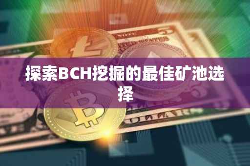 探索BCH挖掘的最佳矿池选择