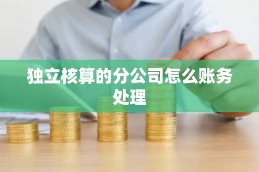 独立核算的分公司怎么账务处理