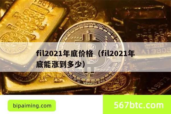 fil2021年底价格（fil2021年底能涨到多少）