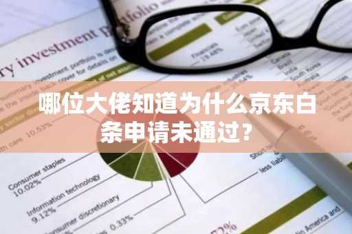 哪位大佬知道为什么京东白条申请未通过？