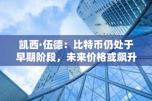 凯西·伍德：比特币仍处于早期阶段，未来价格或飙升至新高