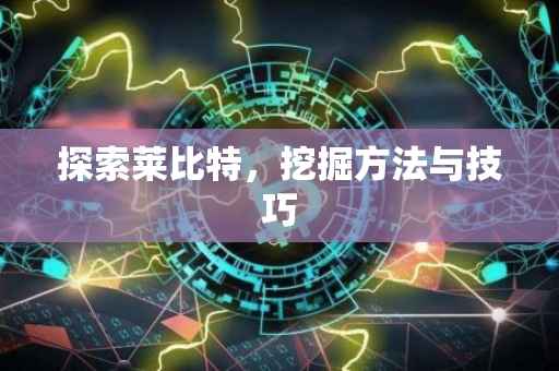 探索莱比特，挖掘方法与技巧