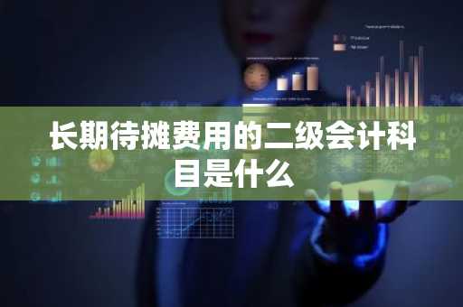 长期待摊费用的二级会计科目是什么