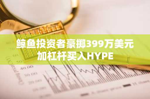 鲸鱼投资者豪掷399万美元加杠杆买入HYPE