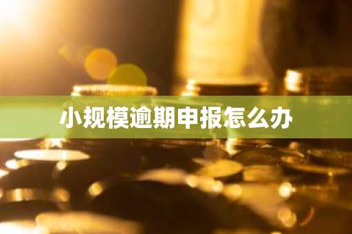小规模逾期申报怎么办
