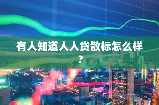有人知道人人贷散标怎么样？