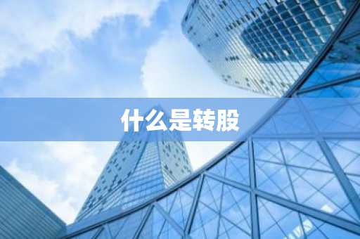 什么是转股