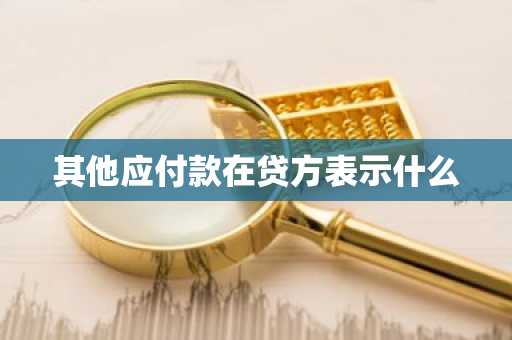 其他应付款在贷方表示什么