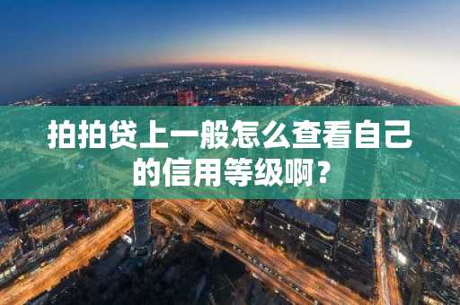 拍拍贷上一般怎么查看自己的信用等级啊？