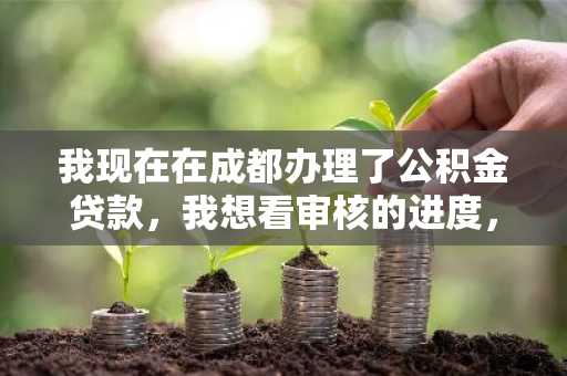 我现在在成都办理了公积金贷款，我想看审核的进度，该怎么查？