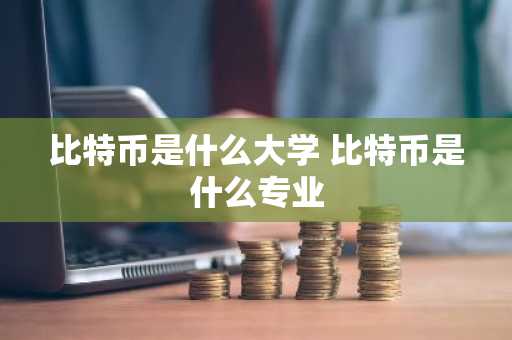 比特币是什么大学 比特币是什么专业