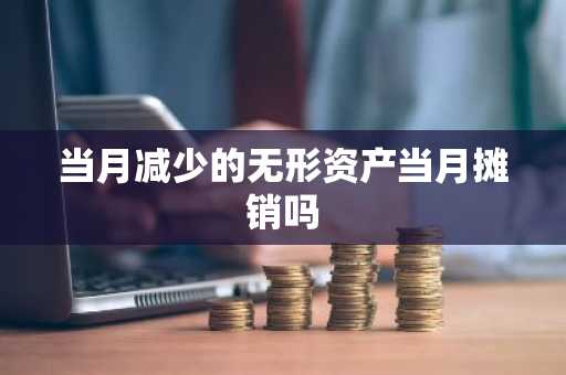 当月减少的无形资产当月摊销吗